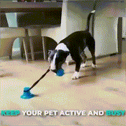 Multifunction Pet Molar Bite Toy