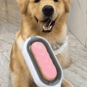 🐾 Pet Knot Remover Brush