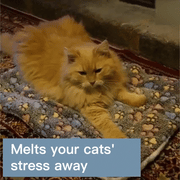 🔥 Cosy Calming Cat Blanket
