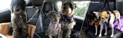 Adjustable Car Dog Leash