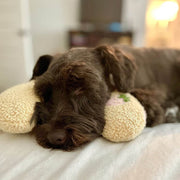 🐶🐱The Calming Pillow💐