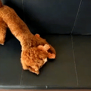 Robust Dino — Dog Toy 2.0 Upgraded Version