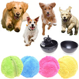 🔥Active Rolling Ball （4 color covers included）