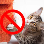 💗Multifunctional Cat Toy🥰