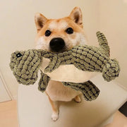 Robust Dino — Dog Toy 2.0 Upgraded Version