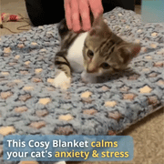 🔥 Cosy Calming Cat Blanket