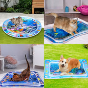 Pet Water Sensory Play Mat