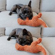 Robust Dino — Dog Toy 2.0 Upgraded Version