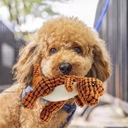 Robust Dino — Dog Toy 2.0 Upgraded Version